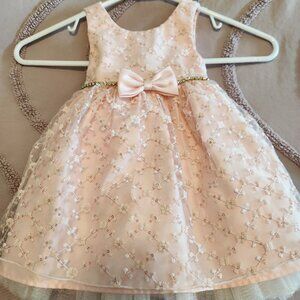 Pink Children American Princess dress size 24 months